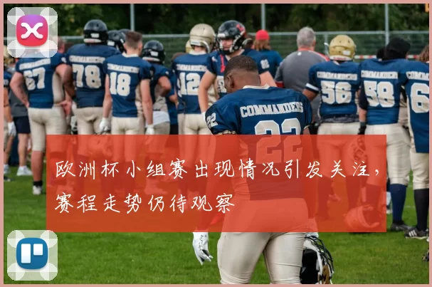 欧洲杯小组赛出现情况引发关注，赛程走势仍待观察