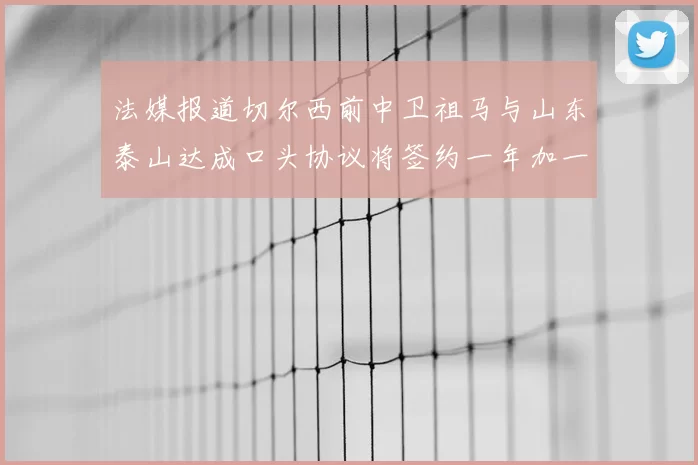 法媒报道切尔西前中卫祖马与山东泰山达成口头协议将签约一年加一年