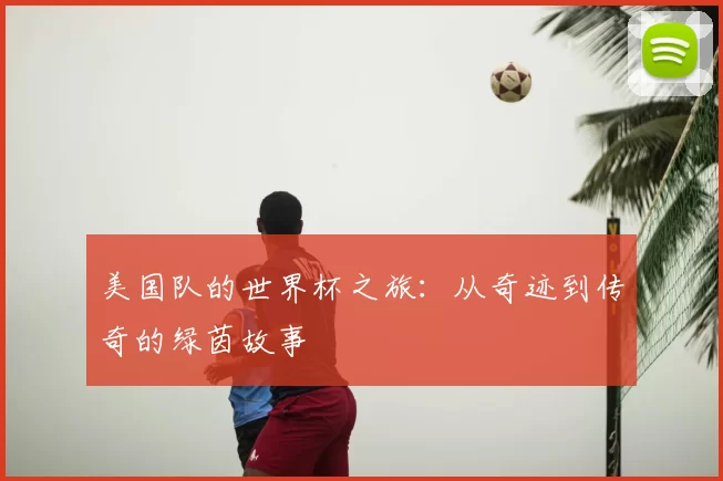 美国队的世界杯之旅：从奇迹到传奇的绿茵故事