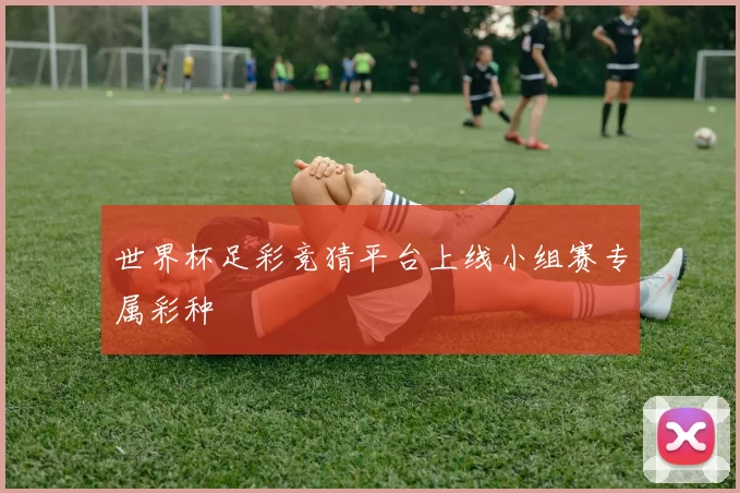 世界杯足彩竞猜平台上线小组赛专属彩种