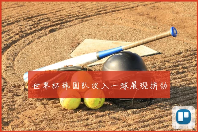 世界杯韩国队攻入一球展现拼劲