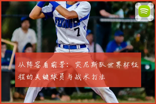 从阵容看前景：突尼斯队世界杯征程的关键球员与战术打法