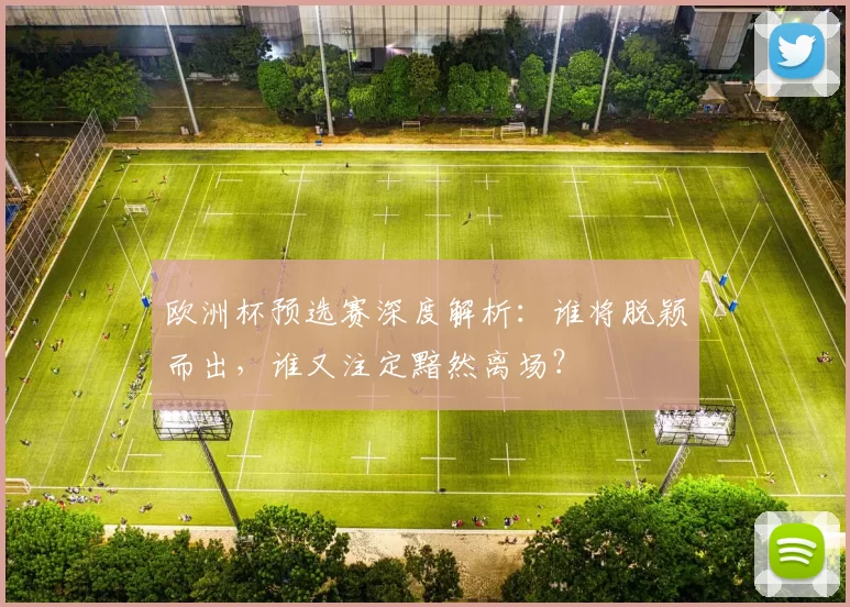 欧洲杯预选赛深度解析:谁将脱颖而出,谁又注定黯然离场?
