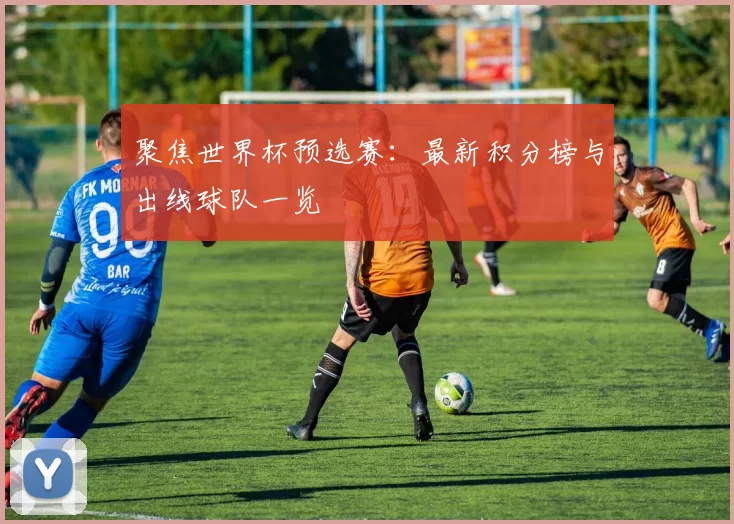 聚焦世界杯预选赛：最新积分榜与出线球队一览